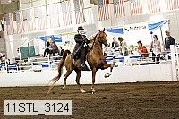 11stl_3124 proof