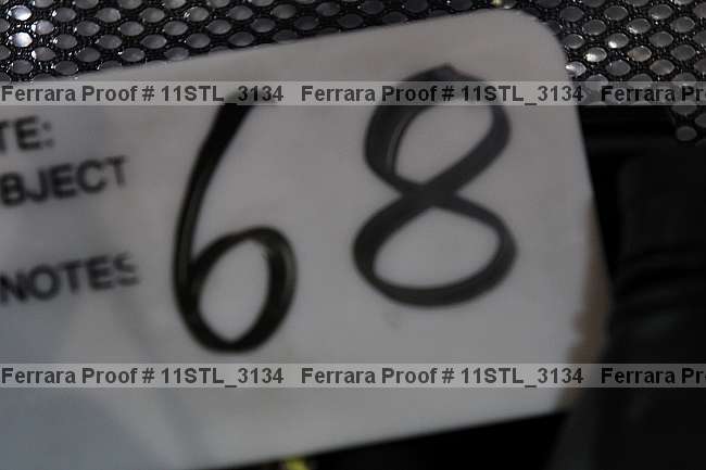 Proof 11stl_3134