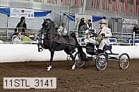 11stl_3141 proof