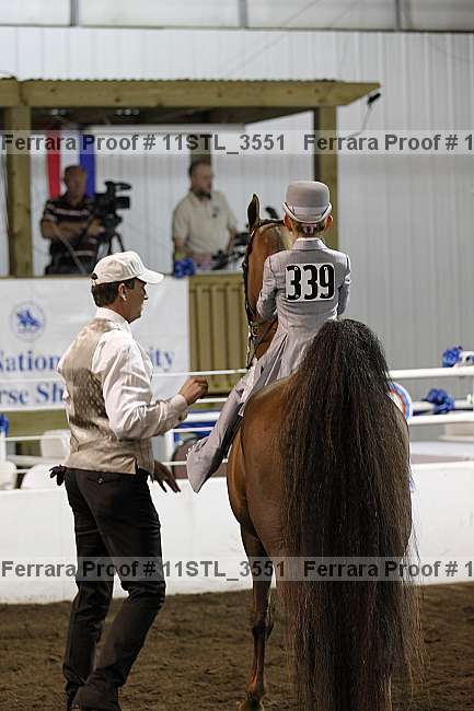 Proof 11stl_3551
