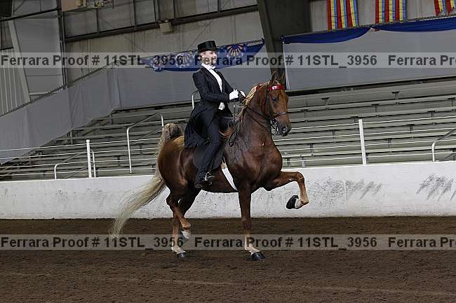Proof 11stl_3956