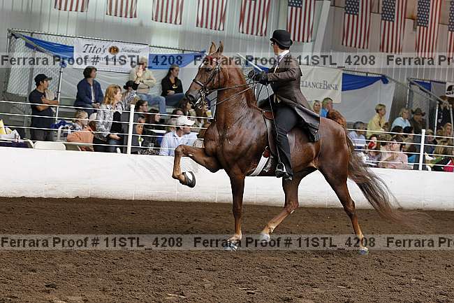 Proof 11stl_4208