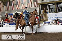 11stl_4655 proof