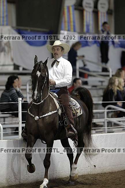 Proof 11stl_4792