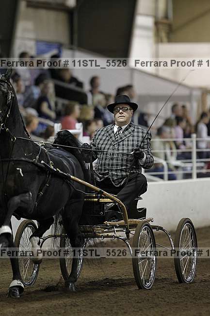Proof 11stl_5526