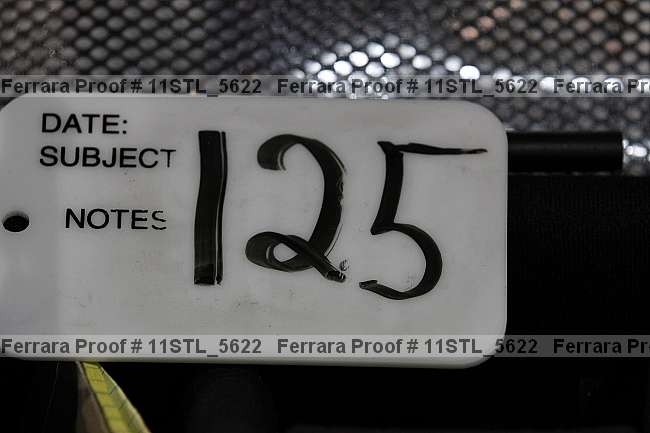 Proof 11stl_5622