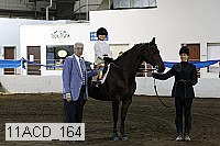 11acd_164 proof