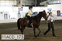 11acd_173 proof