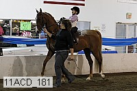 11acd_181 proof