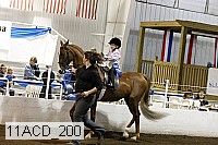 11acd_200 proof