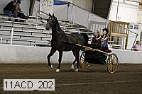 11acd_202 proof