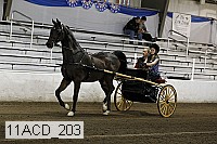 11acd_203 proof