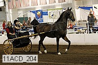11acd_204 proof