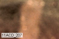 11acd_207 proof