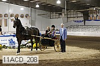 11acd_208 proof