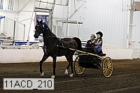 11acd_210 proof