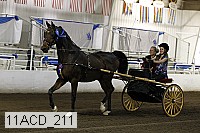 11acd_211 proof