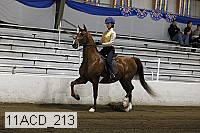 11acd_213 proof