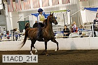 11acd_214 proof