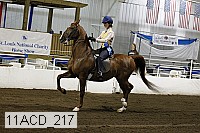 11acd_217 proof