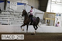 11acd_218 proof