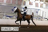 11acd_219 proof
