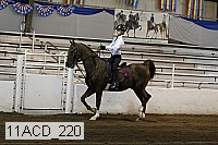 11acd_220 proof