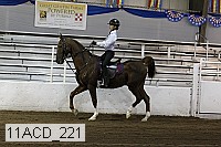 11acd_221 proof