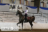 11acd_222 proof