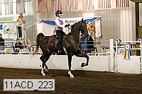 11acd_223 proof