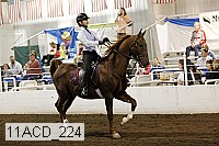 11acd_224 proof