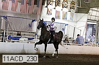 11acd_230 proof