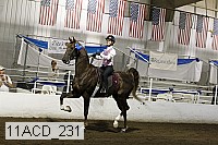 11acd_231 proof