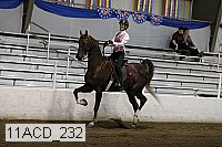 11acd_232 proof