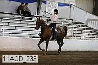 11acd_233 proof