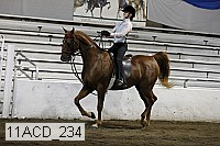 11acd_234 proof