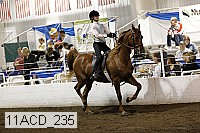 11acd_235 proof