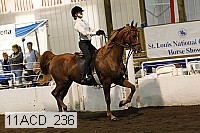 11acd_236 proof