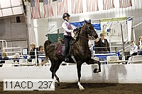 11acd_237 proof