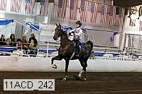 11acd_242 proof