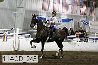 11acd_243 proof