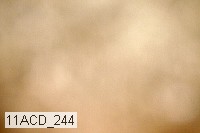 11acd_244 proof