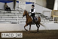11acd_245 proof