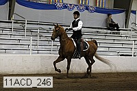11acd_246 proof