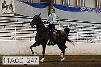 11acd_247 proof