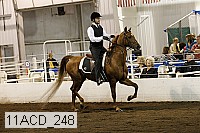 11acd_248 proof