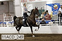 11acd_249 proof