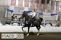 11acd_250 proof