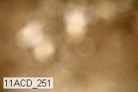 11acd_251 proof