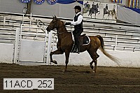 11acd_252 proof